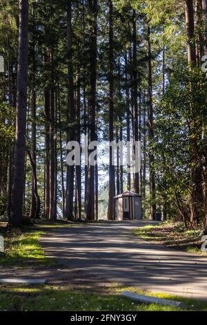 a small building at the edge of a path in forest Stock Photo