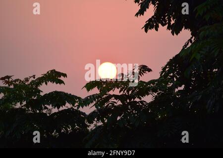 Sun hiding behind the trees, Chandigarh Stock Photo