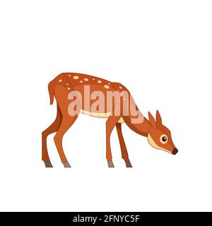Forest spotted deer in standing pose bending to the ground. Wildlife of forest mammals concept. Cartoon vector Illustration flat style isolated white Stock Vector