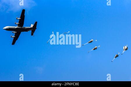 Military parachutist paratroopers jumping from a US Air Force C-130 Hercules plane during the Operation Falcon Leap. Veluwe, The Netherlands - Septemb Stock Photo
