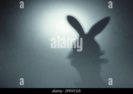Abstract unfocused shadow of a rabbit on a gray-blue background. The blurry silhouette of the eared pet. Side view. Copy space Stock Photo