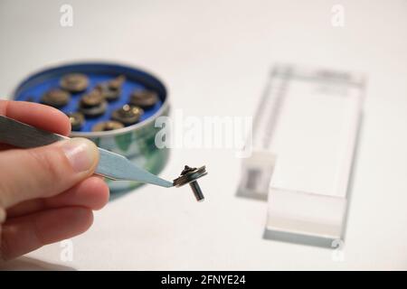 Scientific hand holding a tweezers with a scanning electron microscope sample on a specimen mount. SEM pins to analyze. Stock Photo