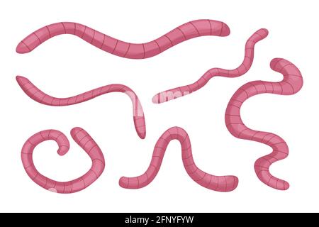 Earthworms collection in cartoon style isolated on white background. Nature, wildlife, fishing, compost concept stock vector illustration. Vector illu Stock Vector