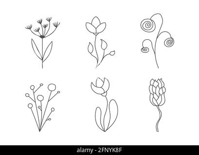set of contour silhouettes of flowers for coloring books, scrapbooking, decoration and creative design. Flat style, isolated on a white background. Stock Vector