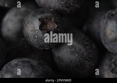 fresh blueberries macro background with water drops Stock Photo