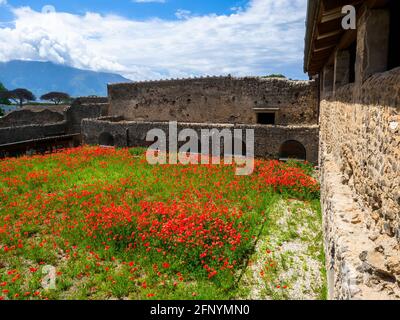 Casa del Criptoportico (House of the Cryptoporticus) - Pompeii archaeological site, Italy Stock Photo