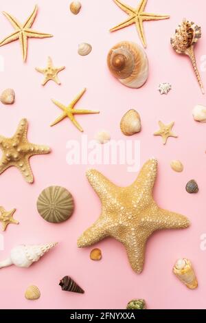 Collection of various seashells on a pink background, top view. Stock Photo