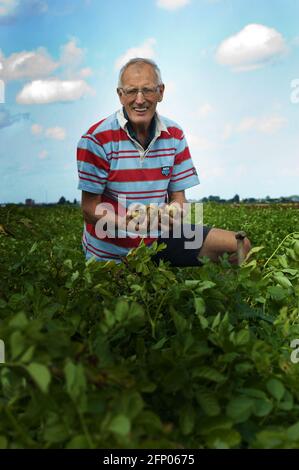 Potatoes, Farmer, Dutch, Healthy Stock Photo