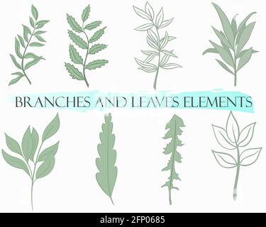 Set of branches and leaves, vector. Simple botanical green design elements. Hand drawing. Stock Vector