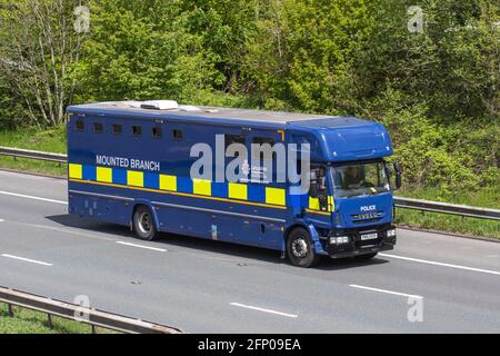 Lancashire Constabulary large Police horsebox van; Coach built van conversion equine animal transport travelling on the M61 motorway, Lancashire,UK Stock Photo