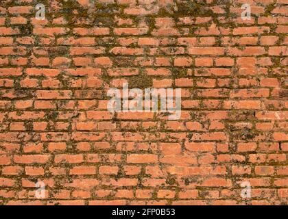 Old brick wall texture, moss growing on it Stock Photo