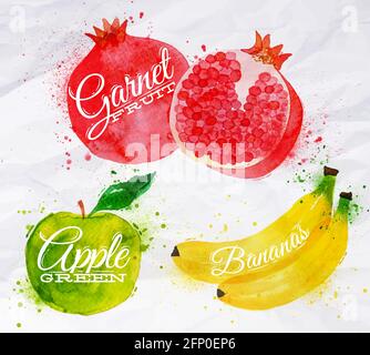 Fruit set drawn watercolor blots and stains with a spray banana, pomegranate, apple green Stock Vector