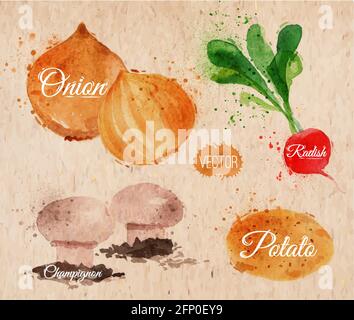 Vegetables set drawn watercolor blots and stains with a radishes, onions, potatoes, champignons on kraft paper Stock Vector