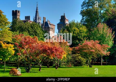 Cardiff castle behind trees in autumn colours viewed from Bute park Stock Photo