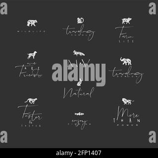 Set of animals mini floral graphic signs bear, fish, monkey, fox, pig, dog, rabbit, elephant, cheetah, lion with lettering drawing on dark background Stock Vector