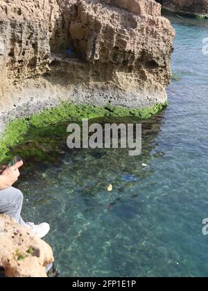 In Alexandria Egypt on the sea there are people, cliff, marine eagle, rocks, young men swimming on the sea with seascape, and beauty nature. Stock Photo