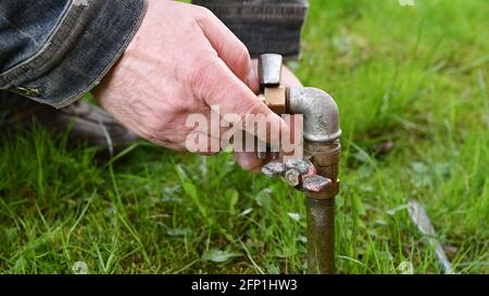 Man Fixing Garden Water Pipe. Stock Photo