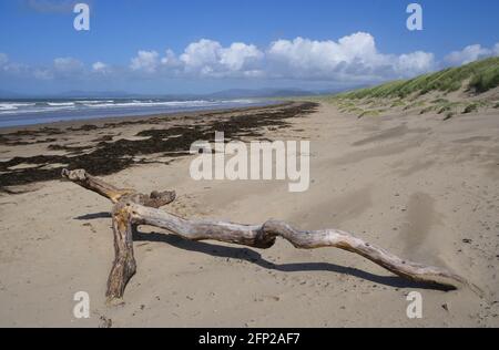 Harlech Beach Wales Stock Photo