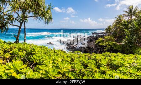 Waves Crash Against Rugged Lava Coastline Near Kauiau Point, Waianapanapa State Park, Maui, Hawaii, USA Stock Photo