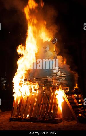 Bruin Bear is burned as part of USC conquest, a tradition at the University of Southern California signifying the rivalry with UCLA. Stock Photo