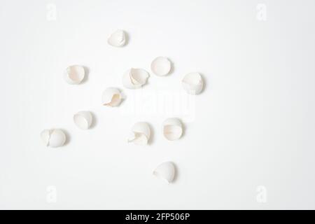 broken shells from eggs on white background Stock Photo