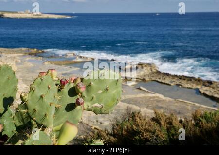 MARSAXLOKK, MALTA - 03 JAN, 2020: Traditional salt fields, Mediterranean Sea and small limestone hill in the background near Peter's pool Stock Photo