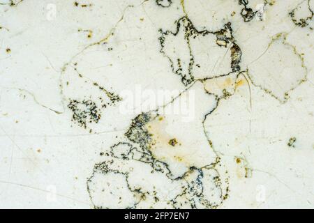 Graphic elements photographed in the studio with natural light well for background Stock Photo