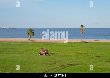 Maintenance worker on riding lawnmower cuts the grass with Vermilion Bay in the background at Cypremort State Park, Louisiana, USA Stock Photo
