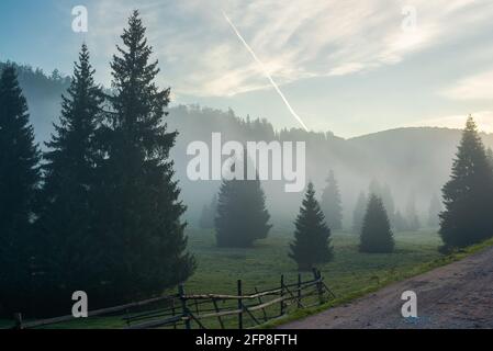 rural valley on foggy sunrise. wonderful nature scenery of forested apuseni mountains, romania. wonderful weather with glowing clouds on the sky Stock Photo