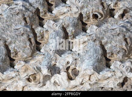 Graphic elements photographed in the studio with natural light well for background Stock Photo