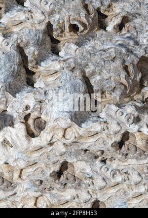 Graphic elements photographed in the studio with natural light well for background Stock Photo