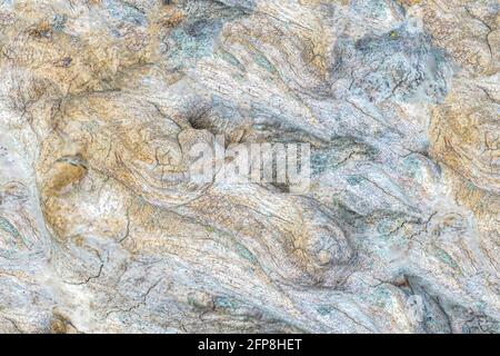 Graphic elements photographed in the studio with natural light well for background Stock Photo
