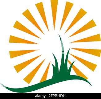 Sun logo icon flat design vector template illustration Stock Vector