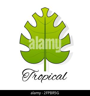 Tropical leaf logo vector for design and printing of postcards Stock Vector