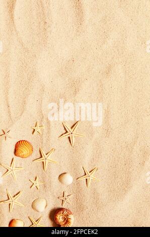 Seashell and starfish pattern on the sandy beach. Summer background. Summer time. Stock Photo