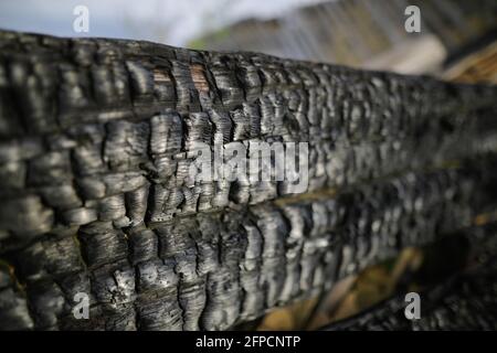 Shallow depth of field (selective focus) details with burned wood from a burnt house. Stock Photo