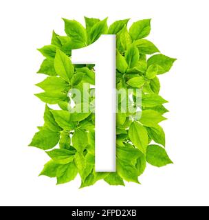 Number one with green leaves background. Creative environment concept. Shape number one Stock Photo