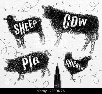 Pen hand drawing tangle wild animals chicken, cow, pig, sheep,  with inscription names of animals drawing on paper background Stock Vector