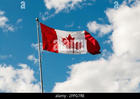 The Canadian flag or Maple Leaf flying against a blue sky with white clouds. Stock Photo