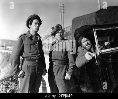 JOHN GREGSON MORLAND GRAHAM and JAMES ROBERTSON JUSTICE in WHISKY GALORE ! 1949 director ALEXANDER MACKENDRICK novel Compton Mackenzie and Angus MacPhail producer Michael Balcon An Ealing Studios production / General Film Distributors (GFD) Stock Photo