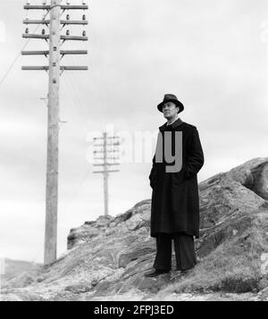 HENRY MOLLISON in WHISKY GALORE ! 1949 director ALEXANDER MACKENDRICK novel Compton Mackenzie and Angus MacPhail producer Michael Balcon An Ealing Studios production / General Film Distributors (GFD) Stock Photo