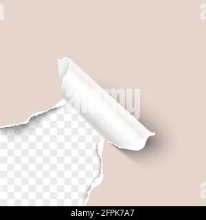Torn craft paper hole with paper curl over transparent background realistic vector template Stock Vector