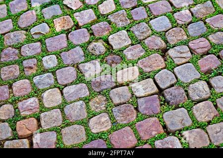 Cobblestone background texture with moss Stock Photo