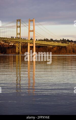 The Tacoma Narrows bridge mirrored in the puget sound at sunset with pastel clouds Stock Photo