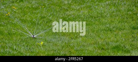 Nozzle that poorly waters the lawn grass. Broken nozzle in the garden on a lawn with grass Stock Photo