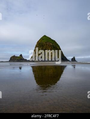 A moody day in the Pacific Northwest, visiting Haystack Rock at Canon Beach, Oregon. Stock Photo