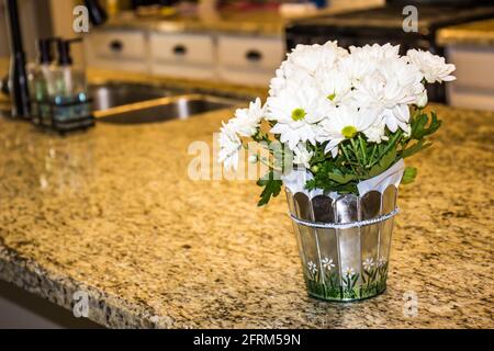 White Shiny Bucket Of Daisies On Granite Kitchen Counter Stock Photo