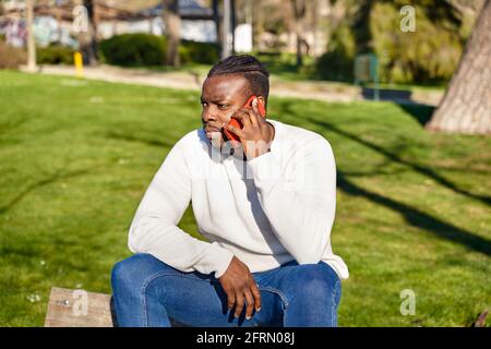 Young African American man talking on cell phone in a park. Black man with braids in his hair. High quality photo Stock Photo