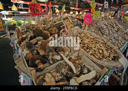 Porcini mushrooms, Mushroom stall, Mercato Centrale, central market hall, centro storico, Florence, Italy Stock Photo