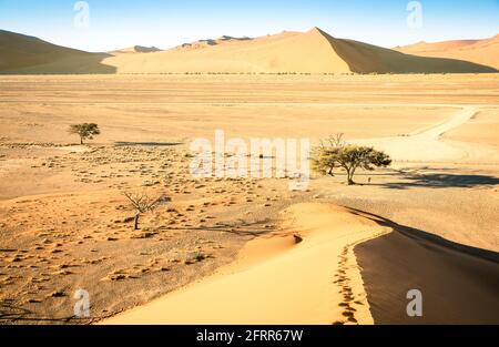 High angle view from the top of Dune 45 on the way to Deadvlei near Sossusvlei - Namibian world famous desert - African nature wonder Stock Photo